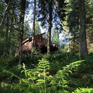 Glentress Forest Cabins - Forest Holidays
